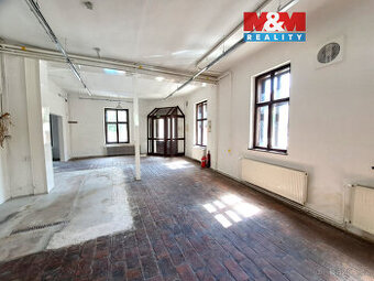 Pronájem obchodního prostoru, 221m2, ul. Riegrova, Brno