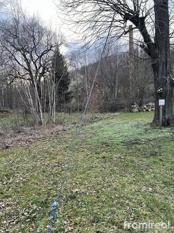 Prodej lesního pozemku v blízkosti Drážďan, východní Německo