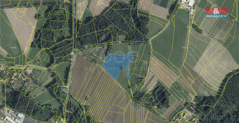 Prodej louky, 17333 m², Tisovec - 1
