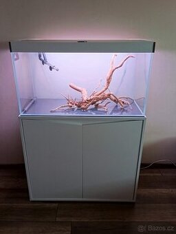 Akvárium - 1