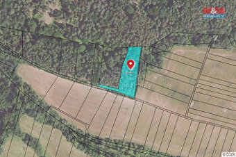 Prodej lesa, 3615 m², Kounov