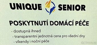 Terénní pečovatelské služby