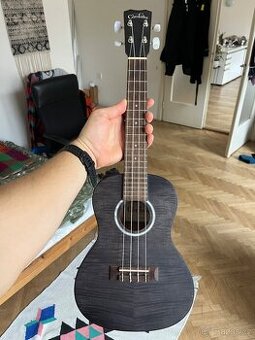 Koncertní ukulele CORDOBA 15CFM Granite Gray + obal - 1
