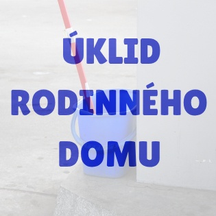 ÚKLID V RODINNÉM DOMKU–obec nedaleko Kunžaku (okres J.H.)