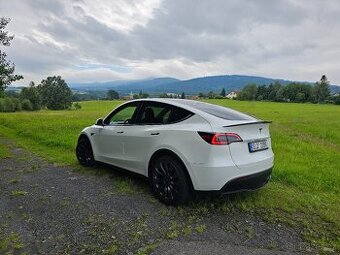 Tesla model Y Performance - 1