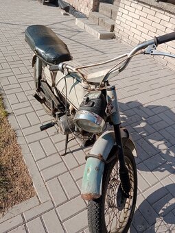 Jawa mustang