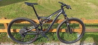 Specialized  FSR