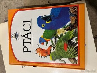Kniha ptáci