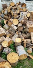 Palivové dřevo  /letos k topení/ suché
