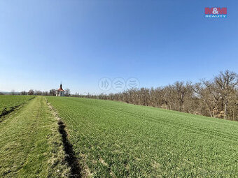 Prodej pole, Číčovice