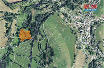 Prodej louky, 15642 m², Bernartice-Křenov u Žacléře