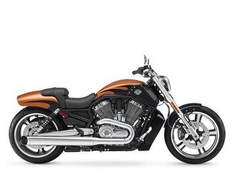 Harley Davidson Muscle