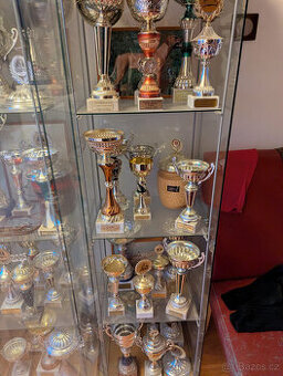 Poháry sportovní(psí výstavy)