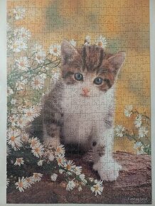 Puzzle kočka