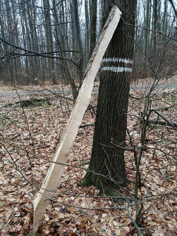 Dubové kůly na ohrady - 1