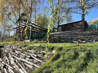 Zahrada (365m2) s chatou (16 m2), pergolou a kolnou - Tachov