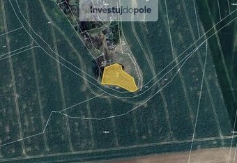 Prodej lesu v k.ú. Ronov nad Doubravou - 1