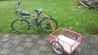 Motokolo 50cc