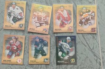 Hokejové kartičky, mix extraliga kartiček