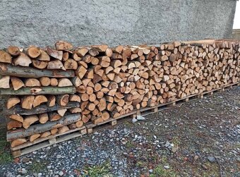 Palivové dřevo tvrdé měkké