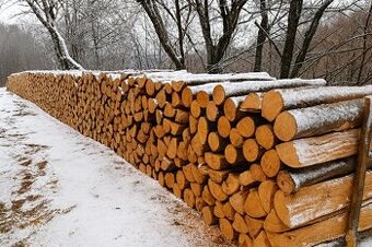 AKCE – TVRDÉ PALIVOVÉ DŘEVO ZA POCTIVÉ CENY