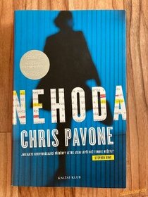 Chris Pavone - Nehoda