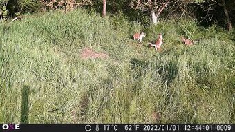 seno a travní senáž