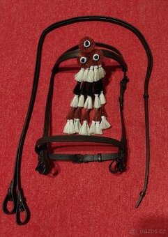 Španělská uzdečka