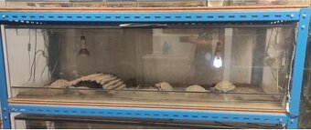 Terarium starší vhodné pro želvy a hady 175x h 62 x v 50.Hor