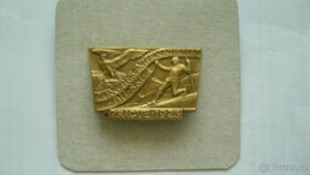 Medzinárodný lyžiarsky kongres 1923