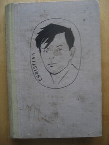 Kniha Poslední náboj
