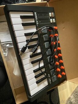 Arturia mini mk2 - 1