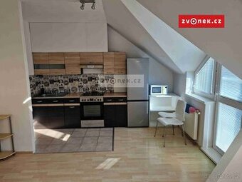 Pronájem bytu 1+kk ve Štěpnicích.