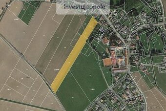 Prodej podílu 1/2 pole 6 800 m², Kornatice - 1