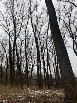 Prodej pozemků k.ú. Přerov nad Labem