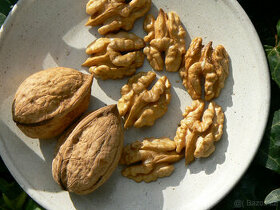Loupané ořechy - - viz text