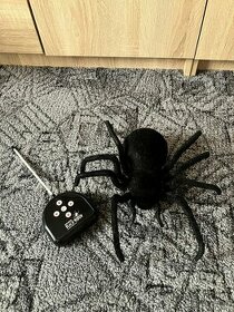 Interaktivní pavouk