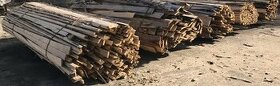 Palivové dřevo - balíky 4m krajinek