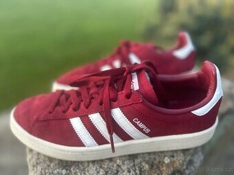 Adidas campus boty