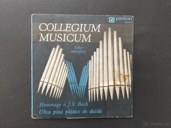 Collegium Musicum - 1