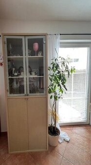 Komoda, TV stolek, konferenční stolek