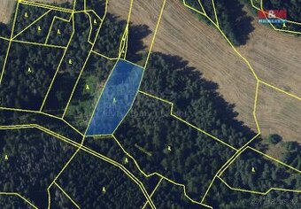 Prodej lesa, 11616 m², Pernštejnské Jestřabí, Maňová