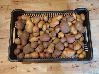 Brambory - lepší než BIO