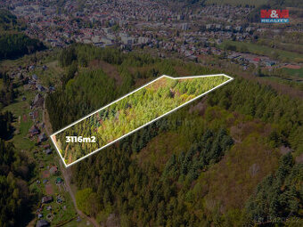 Prodej lesa, 3116 m², Trutnov, ul. Kacíř
