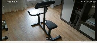 Lavice na cviceni bicepsu - Scotova lavice - 1