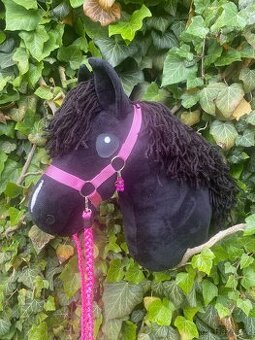 Hobby horse
