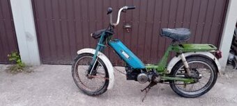 Babeta 207