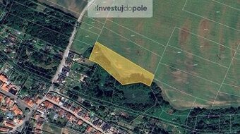 Prodej pole v k.ú. Kostelec nad Labem