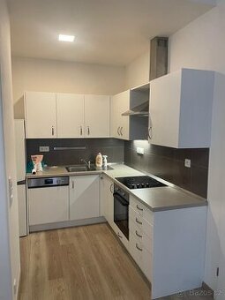 DLouhodobý pronájem bytu 2+kk (55 m2)