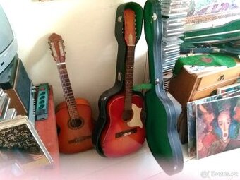 Dvanáctistrunná kytara